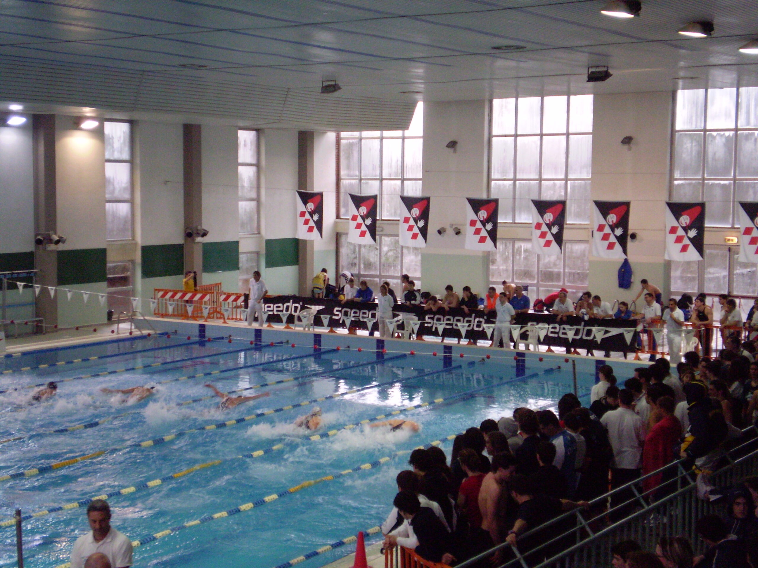 I risultati del Meeting di Nuoto